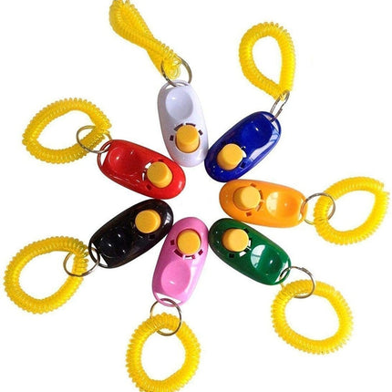 Renkli Köpek Eğitimi Clicker