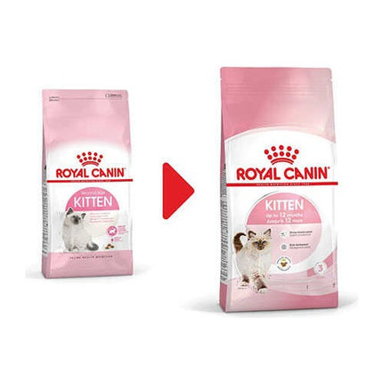 Royal Canin Kitten Yavru Kedi Maması 10 Kg