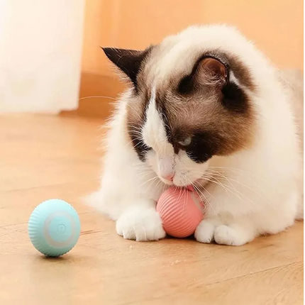 Gravitational Şarjlı Otomatik Haraketli Kedi Oyun Topu 4 cm