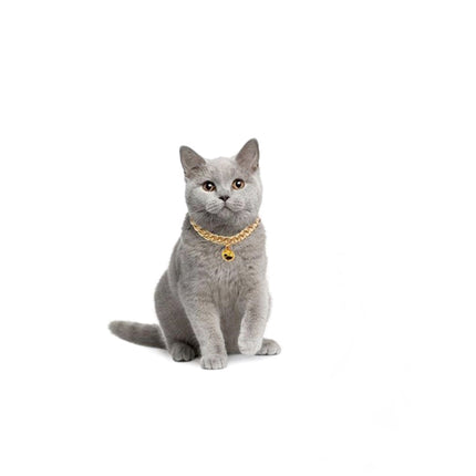 Markapet Kedi Ve Köpek Lüx Zincir Kolye 25-30 cm Medium Gold