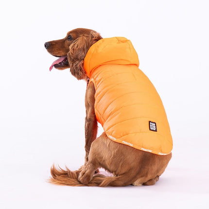 Pawstar Neon Orange Railway Vest Köpek Montu Large 30x33x46 cm
