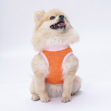 Pawstar Orange Joy Tişört Medium 26x28x41 cm