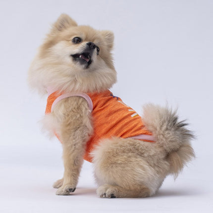 Pawstar Orange Joy Tişört Medium 26x28x41 cm