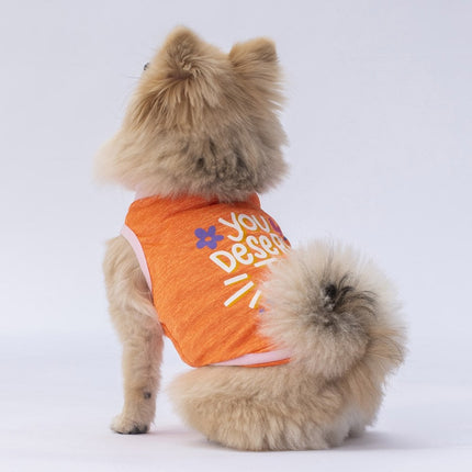 Pawstar Orange Joy Tişört Small 23x24x37 cm