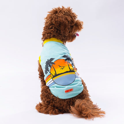 Pawstar Mint Sunrise Tişört Large 30x33x46 cm