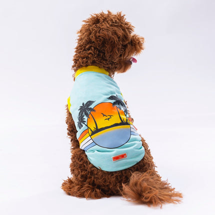 Pawstar Mint Sunrise Tişört XXLarge 38X43X58 cm