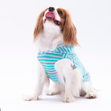 Pawstar Aqua Sunny Kapşonlu Tişört XXLarge 38X43X58 cm