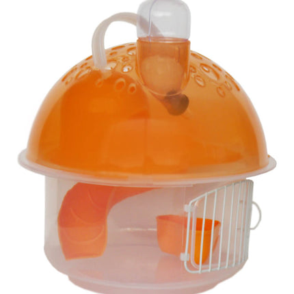 Eastland Hamster Evi