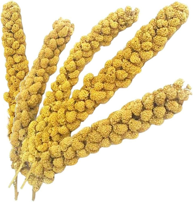 Vitaking Kuşlar İçin Doğal Sarı Dal Darı 100 gr