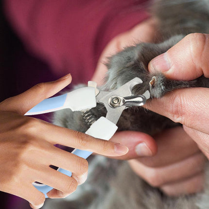 Törpülü Kedi Köpek Tırnak Makası 5,5*14,5 cm Turkuaz
