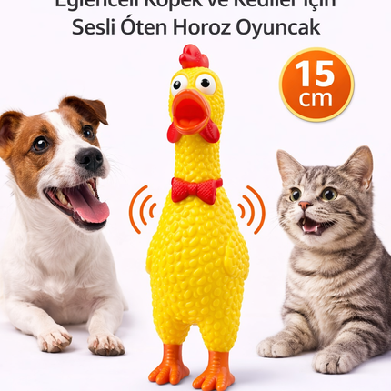 Sesli Horoz Eğlenceli Köpek ve Kediler İçin Sesli Öten Horoz Oyuncak 15 cm
