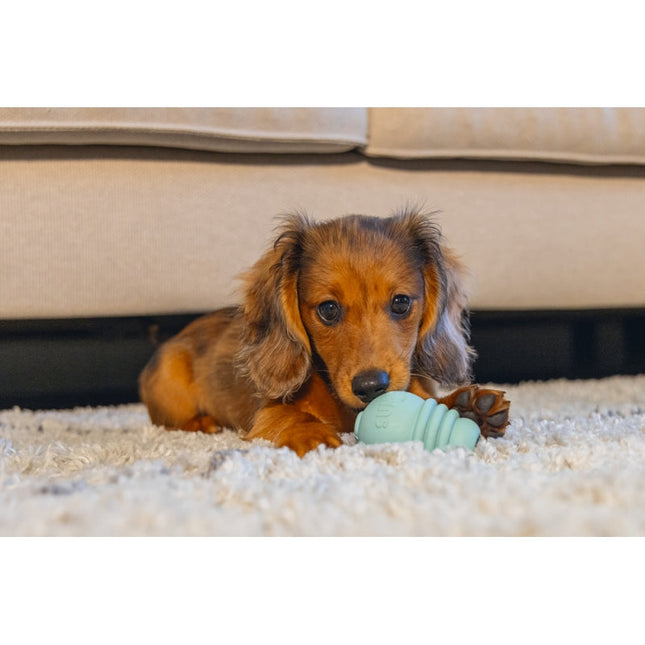 Beeztees Yavru Köpek Sumo Mını Dental Oyuncak Xs 3-6 kg