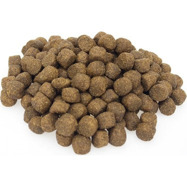 Animal World Adult Cat Kuzu Etli ve Pirinçli Kedi Maması 1 Kg Açık Mama
