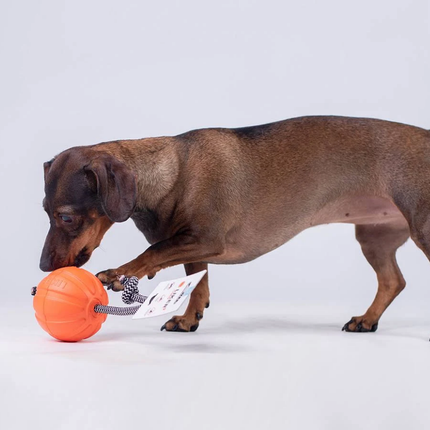 Collar Liker Cord 5 Küçük Irk ve Yavru Köpek Eğitim Oyuncağı 5 Cm