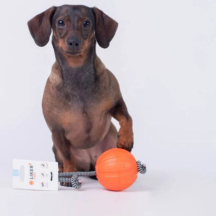Collar Liker Cord 5 Küçük Irk ve Yavru Köpek Eğitim Oyuncağı 5 Cm