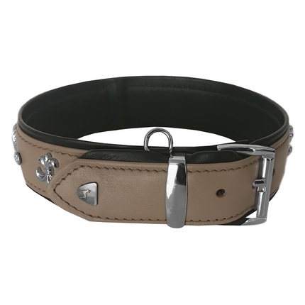 Markapet Taşlı Ve Aynalı Köpek Boyun Tasması 49-55 cm Large Taba
