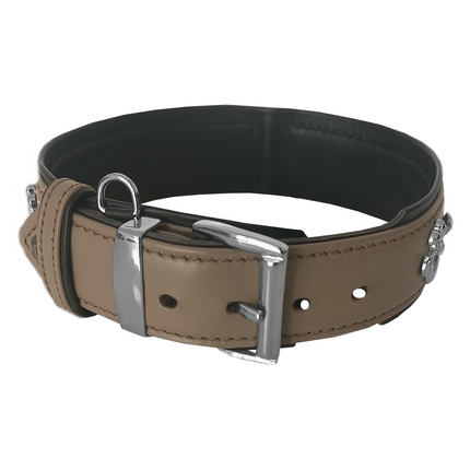 Markapet Taşlı Ve Aynalı Köpek Boyun Tasması 49-55 cm Large Taba