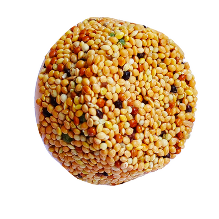Markapet Ballı Meyveli Blok Kuşlar İçin Mineral Blok 100 gr