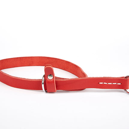 Doggie Eğitim Serisi Gerçek Deriden El Yapımı Ayarlı Köpek Eğitim Tasması 1,5 x 30-40 cm Kırmızı
