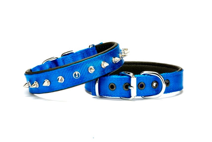 Doggie Çivi Desenli Köpek Tasması 2,5*50 cm Mavi