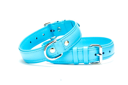 Doggie Flotter Çift Kat Deri Köpek Tasması 3,5x47-55 cm Mavi