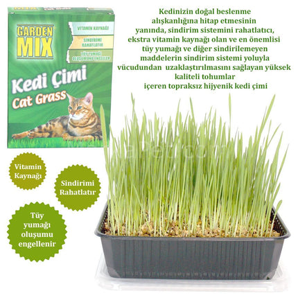 Garden Mix Kedi Çimi 13*18 cm