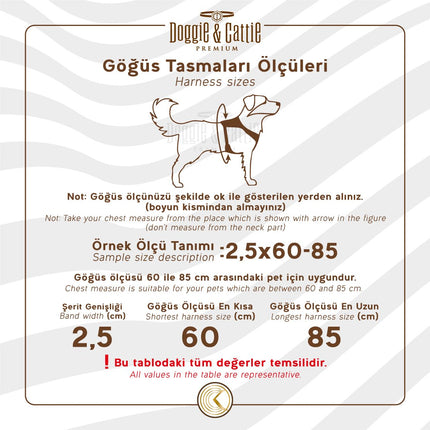 Doggie Comfort Ronin Köpek Bel Tasması 3cm-75 x 85 cm 3X-Large Mavi