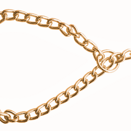Doggie Eğitim Serisi Zincirli Köpek Boyun Tasması 3x50-50cm - Gold