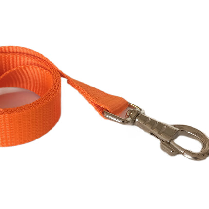 Markapet Köpek Gezdirme Kayışı 2,5 cm x 115 cm Turuncu