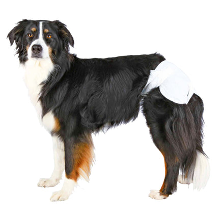 Trixie Köpek Pedi 12 adet M Orta Boy
