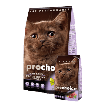 Pro Choice Kuzu Etli Yavru Kedi Maması 2 Kg