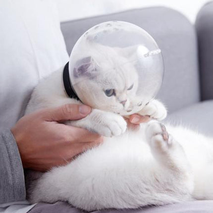 Markapet Kedi Isırma ve Tırmalama Engelleyici Kedi Bakım Küresi 8x14 cm