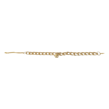 Markapet Kedi Ve Köpek Lüx Zincir Kolye 25-30 cm Medium Gold