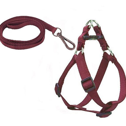Köpek Göğüs Tasma Seti 25-40 cm Kırmızı + Gezdirme Kayışı