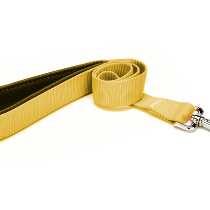 Markapet Köpek Gezdirme Kayışı 2,5 cm x 115 cm Sarı