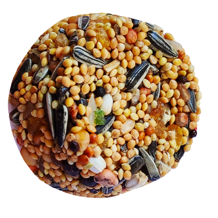 Markapet Pareket Papağan Ballı Meyveli Mineral Blok 100 gr