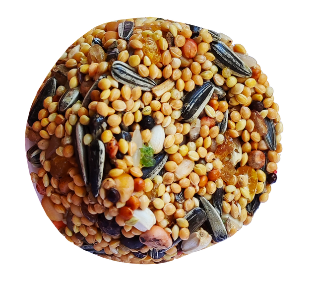 Markapet Pareket Papağan Ballı Meyveli Mineral Blok 100 gr