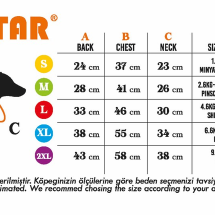 Pawstar Mint Sunrise Tişört XXLarge 38X43X58 cm
