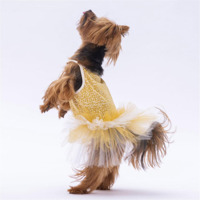 PawStar Yellow Polka-Dot XL 34 x 38 x 55 cm