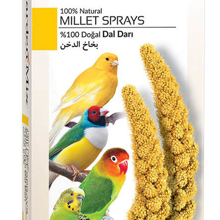 Gardenmix Platin Sarı Dal Darı 150 gr
