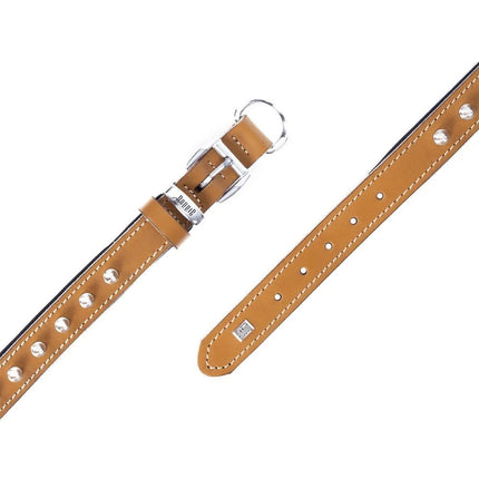 Doggie Konforlu Deri El Yapımı Çivili Köpek Boyun Tasması 2x35-40cm Kamel