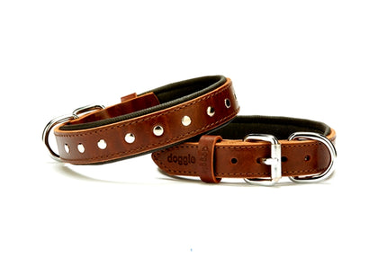 Doggie Deri Rivetli Köpek Tasması 2,5x37-45 cm Kahverengi