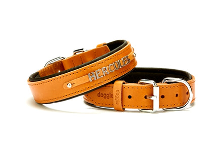 Doggie Deri İsimlikli Köpek Tasması 3x42-50 cm Kamel