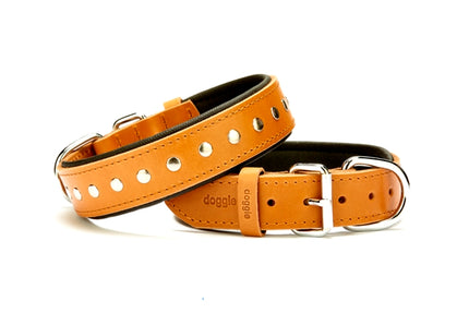 Doggie Deri Rivetli Köpek Tasması 3,5x47-55 cm Kamel