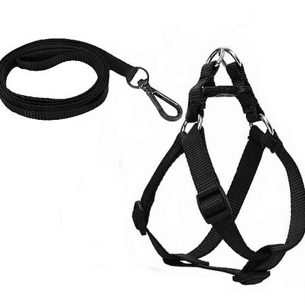 Köpek Göğüs Tasma Seti 30-50 cm Siyah + Gezdirme Kayışı