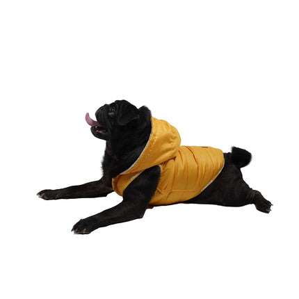 Pawstar Küçük Irk Sarı Sport Köpek Yeleği XLarge 38 Cm