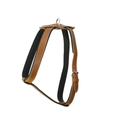 Doggie Konforlu Deriden El Yapımı Köpek Göğüs Tasması 3 x 65-95 cm Kamel