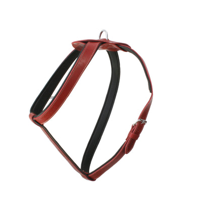 Doggie Konforlu Deriden El Yapımı Köpek Göğüs Tasması 2,5 x 60-85 cm Kırmızı