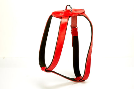 Doggie Konforlu Deriden El Yapımı Köpek Göğüs Tasması 1,5 x 40-60 cm Kırmızı