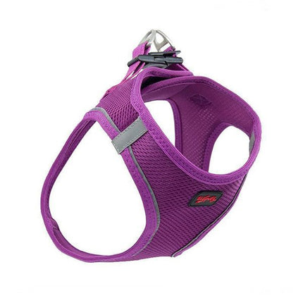 Tailpetz Air Mesh Köpek Göğüs Tasması Small 36x44 cm Mor